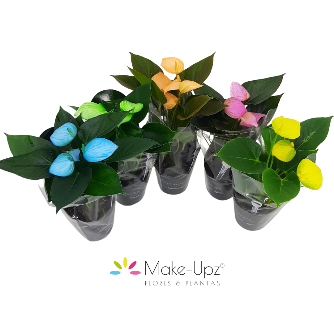 Make-upz