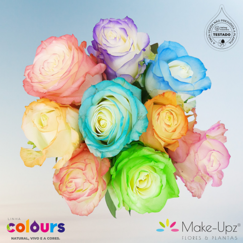 ROSAS COLOURZ MAKE-UPZ