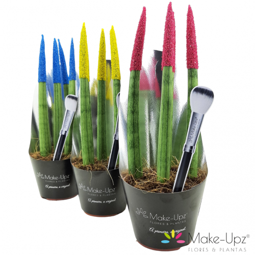 SANSEVIERIA SANDZ 0